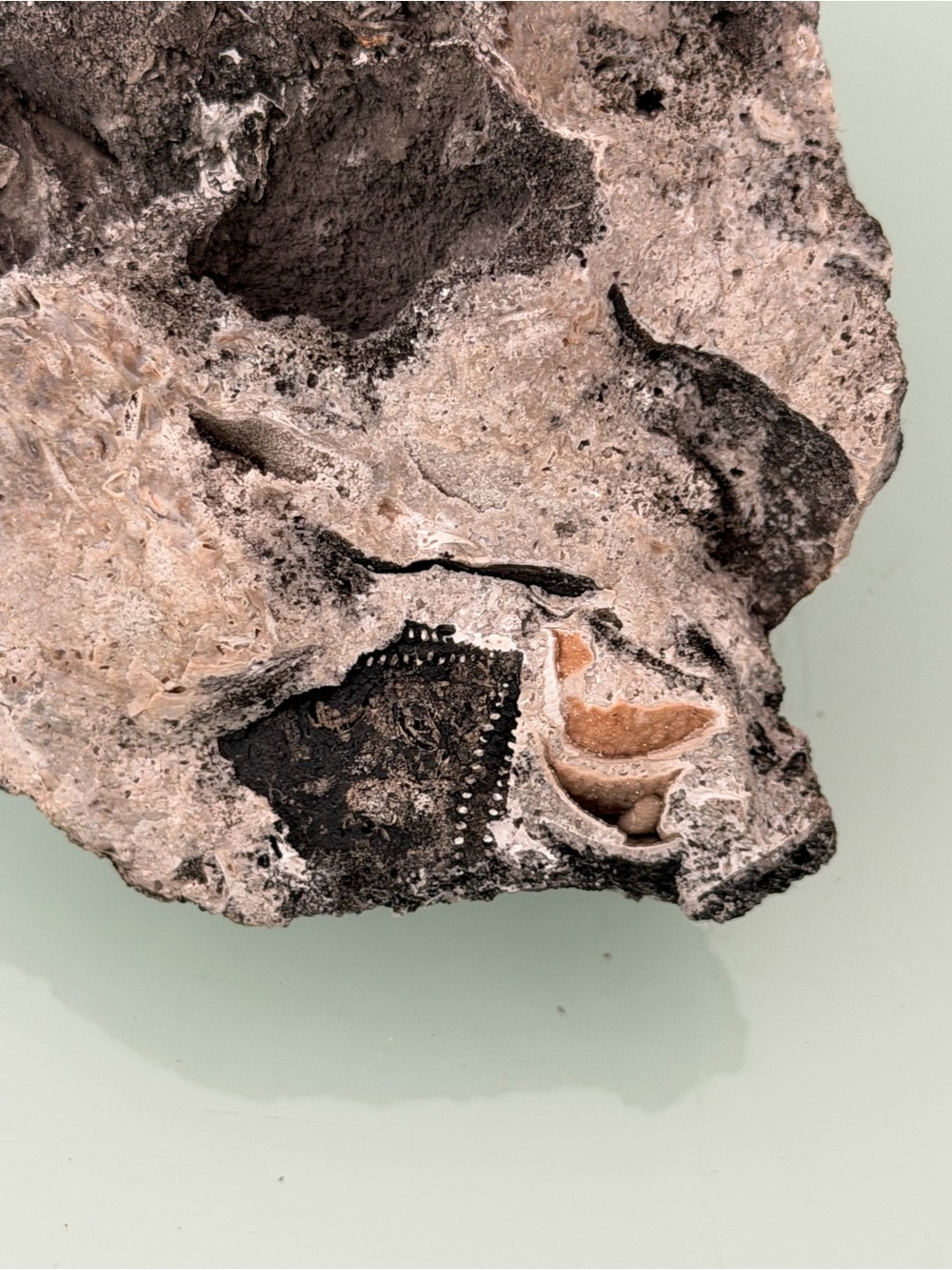 Large Unknown Specimen | Likely Volcanic | Interesting Impressions